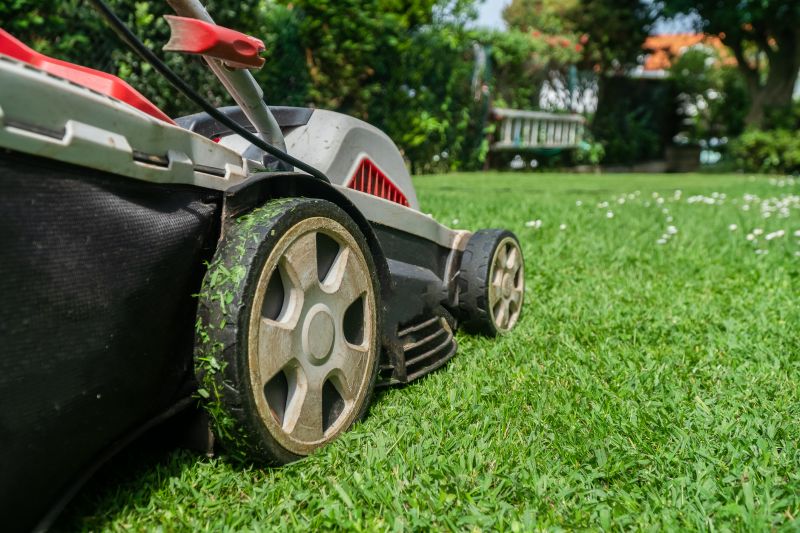 Brush Mowing Service in Prince Georges County, MD
