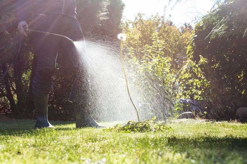 Crabgrass Removal in Ventura County, CA