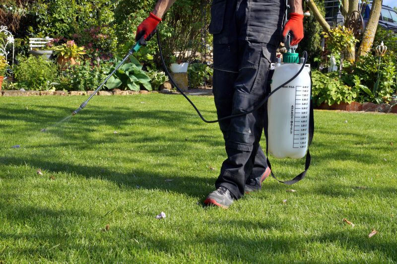Crabgrass Removal in Honolulu, HI