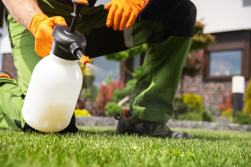 Crabgrass Removal in Honolulu, HI