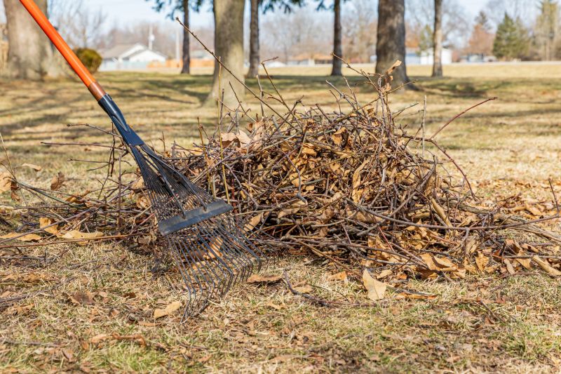 Cleaning Up Debris