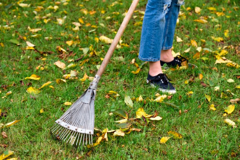 Lawn Raking
