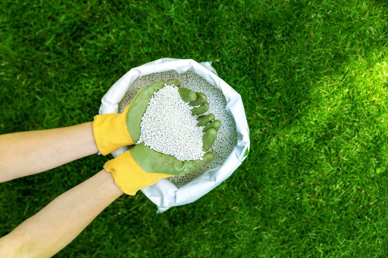 Grass Fertilizing Service in Honolulu, HI