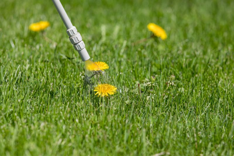Lawn Herbicide Treatment in Aiken, SC