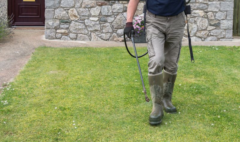 Lawn Weed Spraying in Ventura County, CA