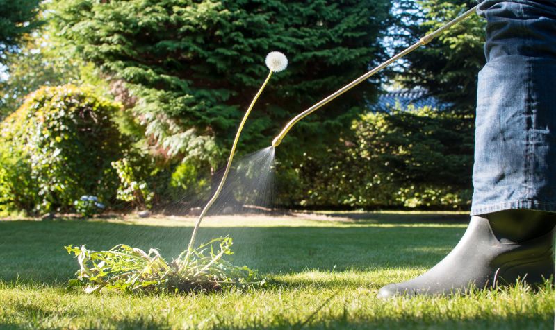 Lawn Weed Treatment in Rockwall, TX