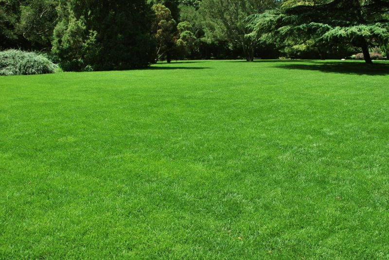 New Lawn Seeding in Honolulu, HI