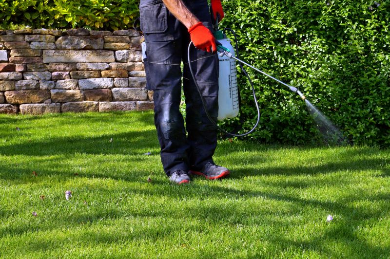 Pampas Grass Control in Honolulu, HI