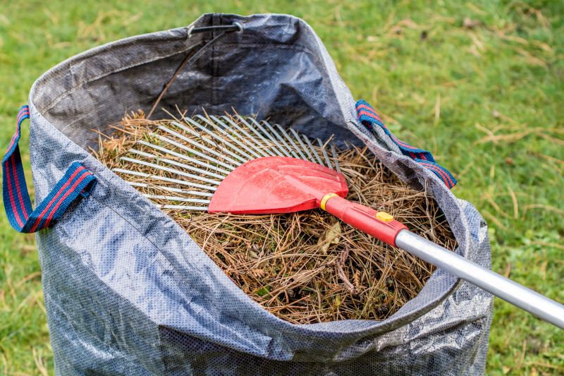 Pine Needles Removal in Ventura County, CA