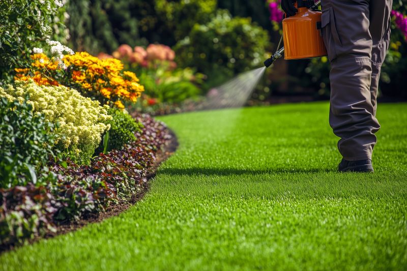 Spring Lawn Treatment in Honolulu, HI