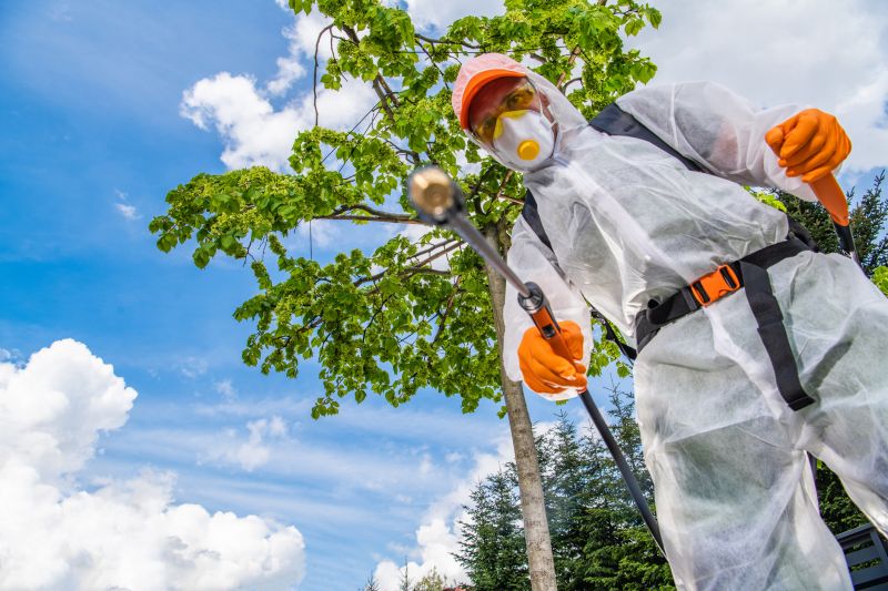 Weed Prevention Service in Rockwall, TX