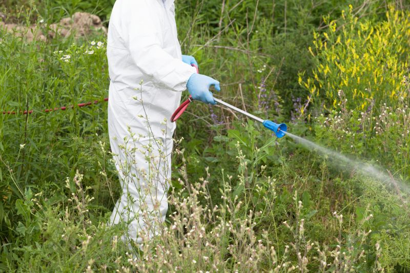 Weed Spraying in Ventura County, CA