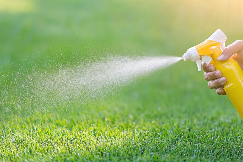 Weed Spraying in Rockwall, TX