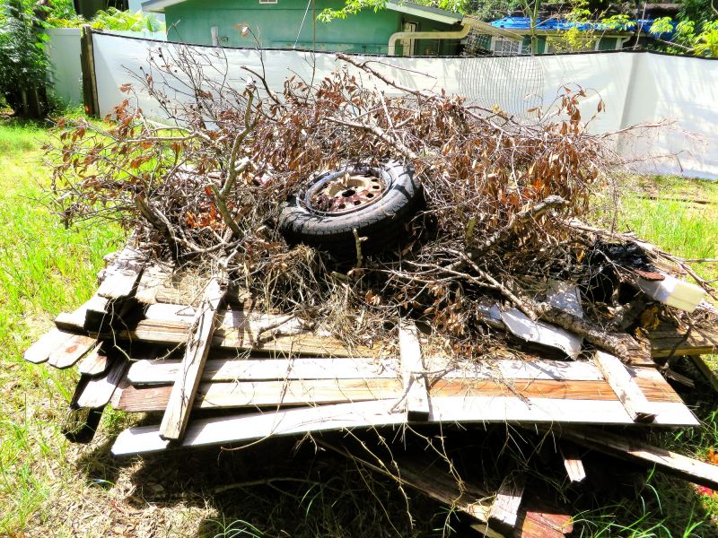 Wood Pile Removal in Honolulu, HI