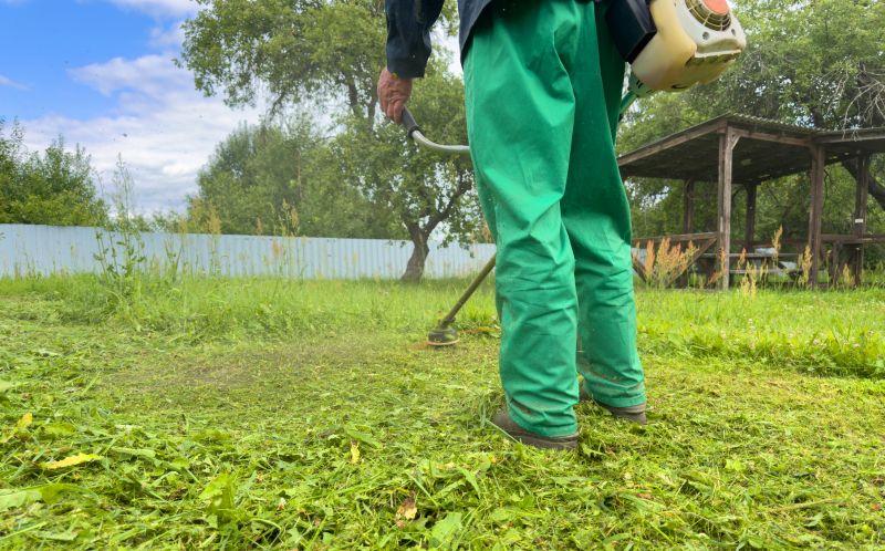 Top Rated Products for Grass Cutting